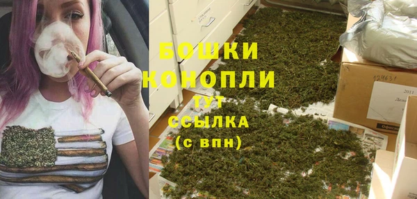 трава Киренск