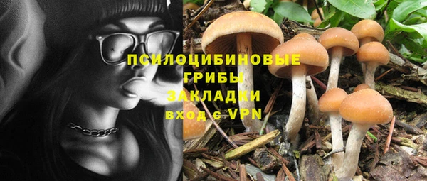 а пвп мука Козловка