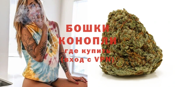 гашик Козельск