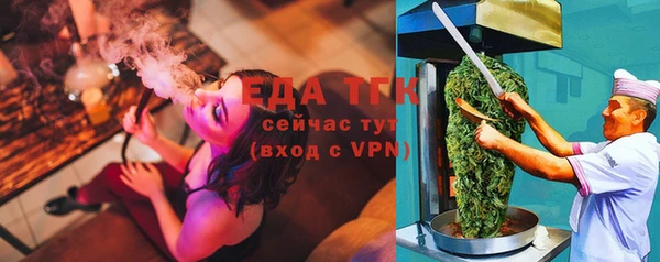 гашик Козельск