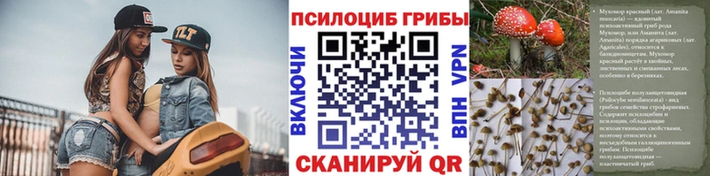 Псилоцибиновые грибы мицелий  Узловая 