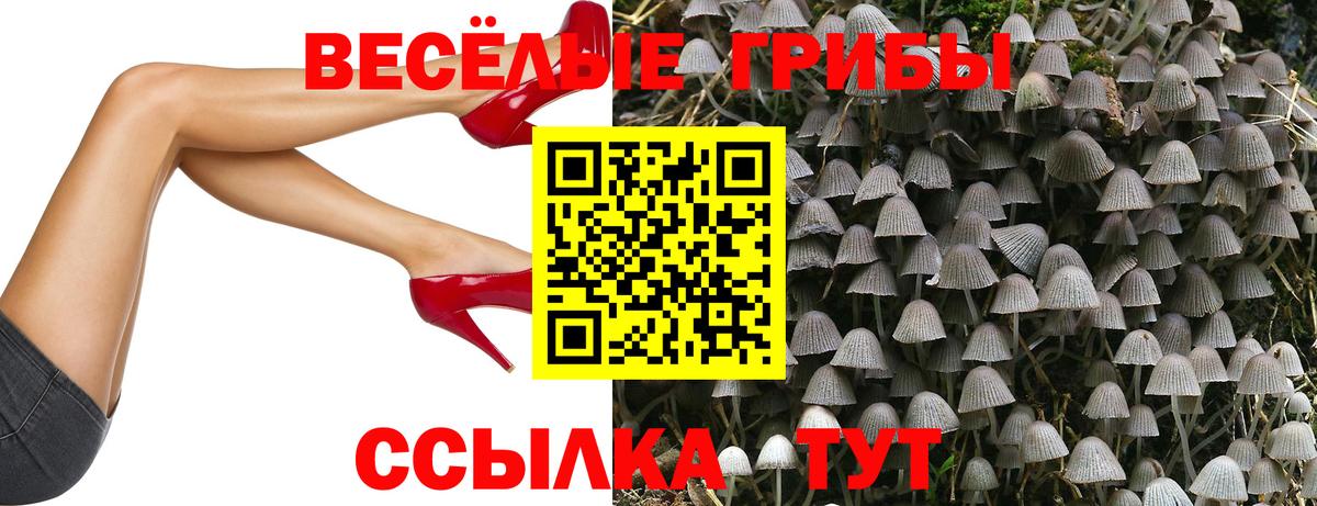 Псилоцибиновые грибы прущие грибы Узловая