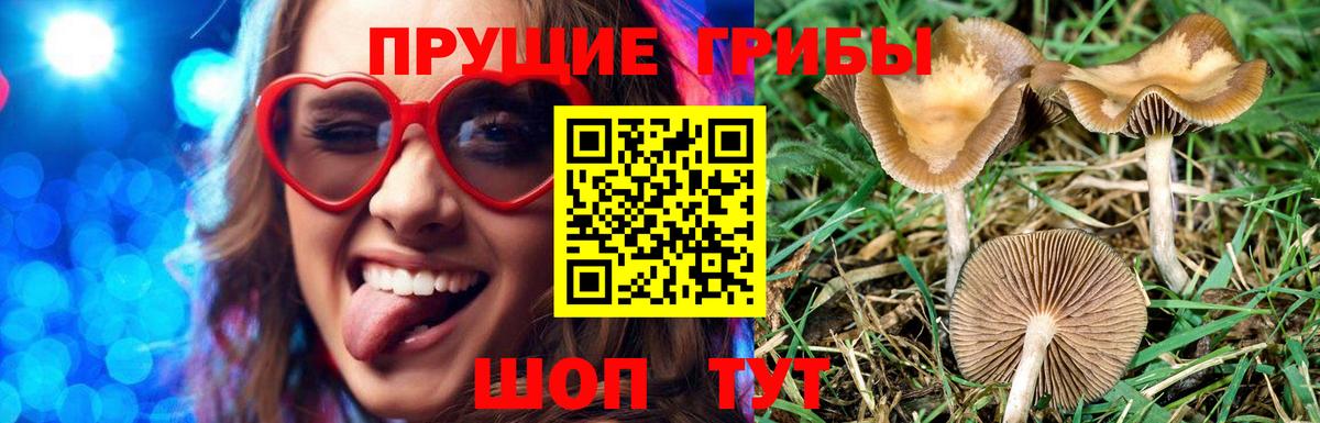 Alpha-PVP СОЛЬ   МАРИХУАНА  Узловая  Купить наркотики  МЕФ   ГАШ  Вход с VPN 