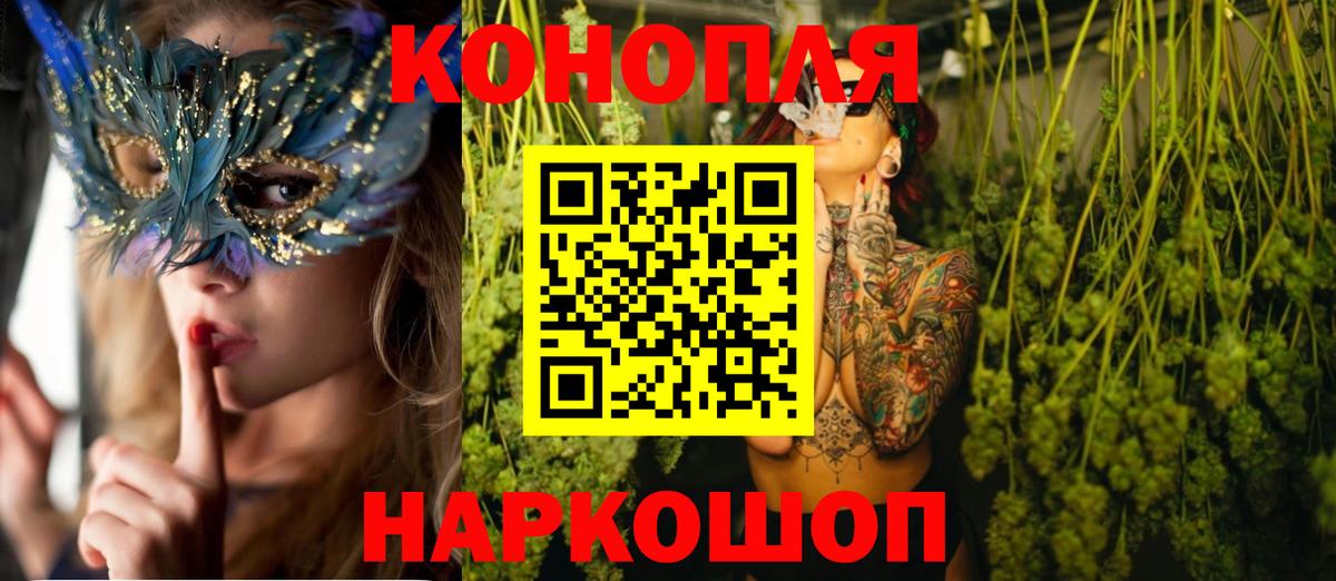 МАРИХУАНА сатива Узловая